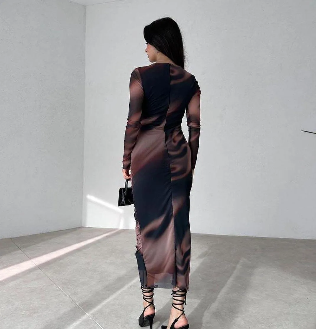 Aster Bodycon Mesh Dress